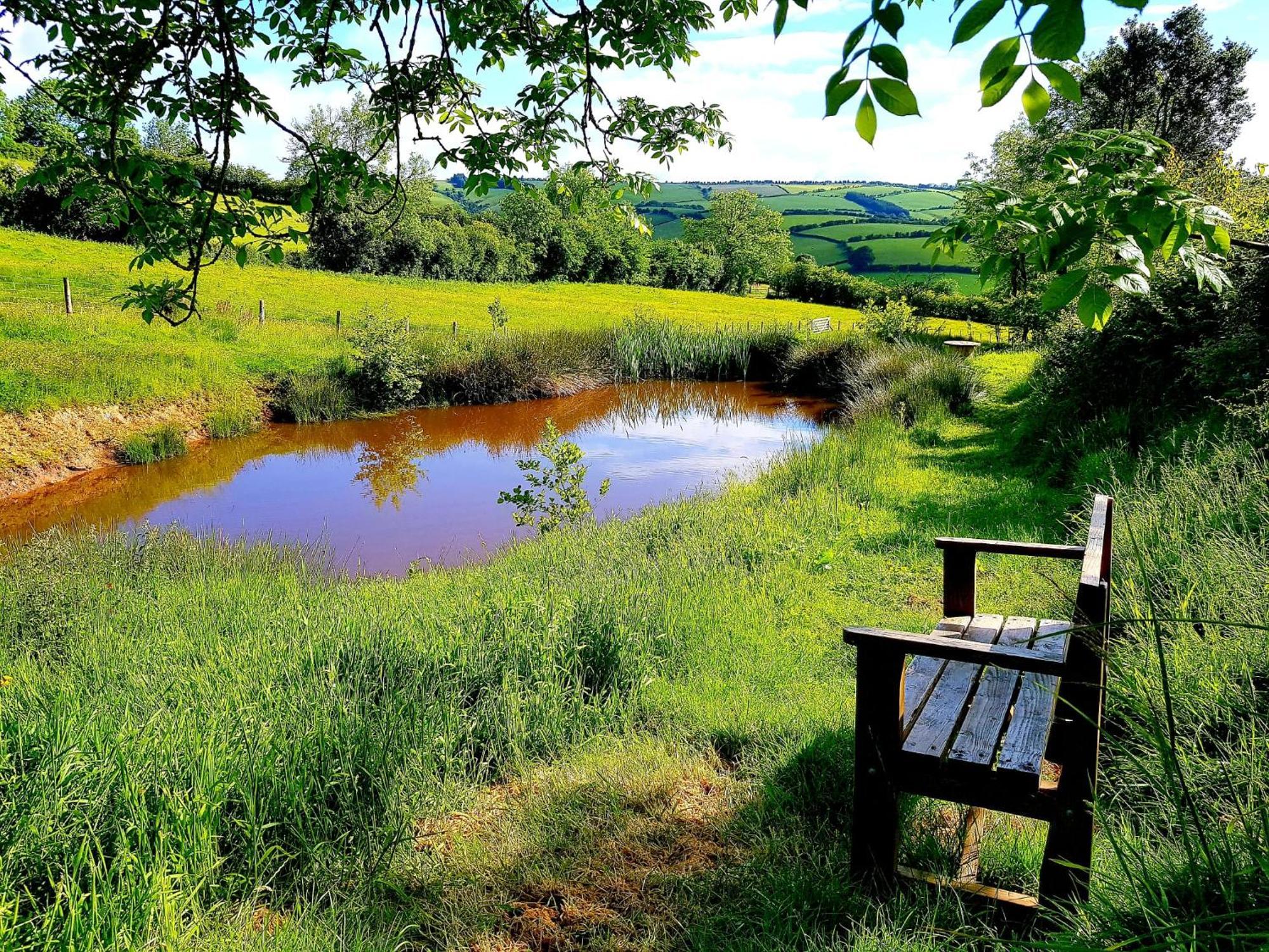 Eco Accommodation Cornflower Holiday Craven Arms Exterior foto